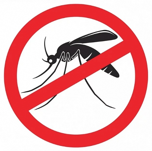 Saiba como usar gua Sanitria no combate  dengue